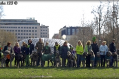 imgp2141_k
